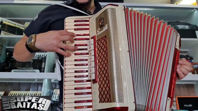 Essa gaita vai transformar a sua música. 🪗 Acordeon Scandalli Serie Ouro смотреть онлайн