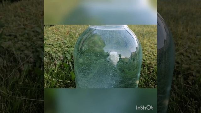 Херабуна, самодельные тесто. смотреть онлайн