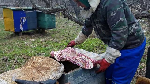 Ставим отводок на маточники смотреть онлайн