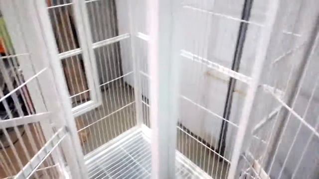 Обзор клетки для Жако смотреть онлайн