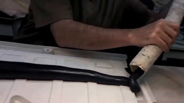 Ученые нашли червя-гиганта, питающегося сероводородом смотреть онлайн