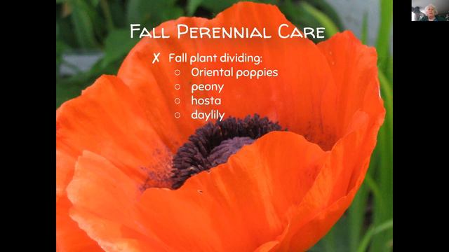 IUN Community Garden: Putting the Garden to Bed for the Winter - 2022 смотреть онлайн