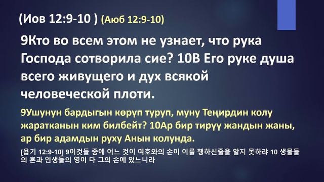 20. 02. 2024г. Библейский Семинар 2 смотреть онлайн