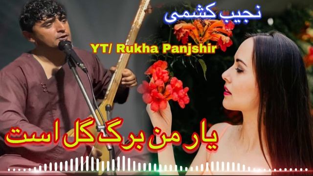 Najib keshmi نجیب کشمی یار من برگ گل اس0 смотреть онлайн