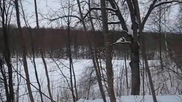 рыбалка на озере смотреть онлайн