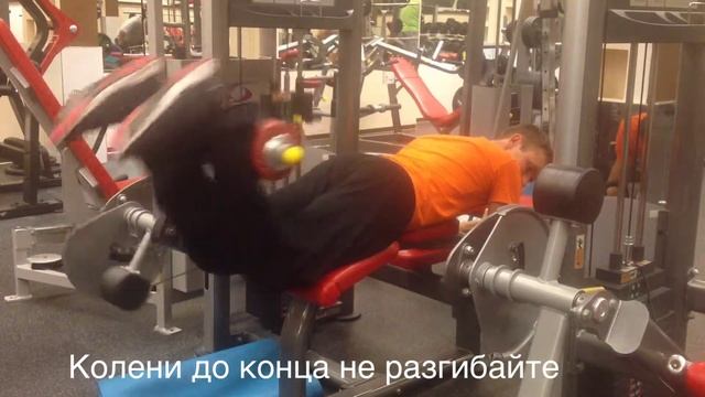 Сгибание колен в тренажёре