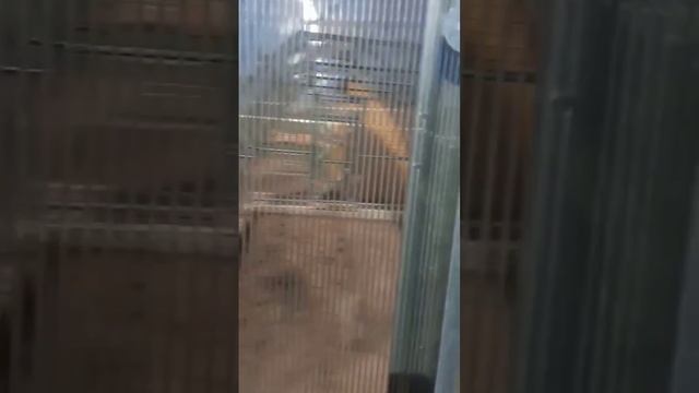 И снова она. Новая 