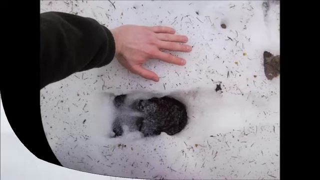 презентация Зеленые колокола Ключевский район смотреть онлайн