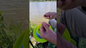 Клев100 - Ловля японским методом херабуна. Как ловить на херабуну