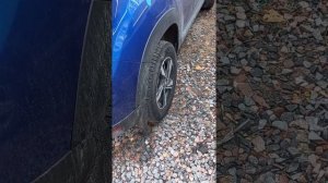 РЕНО ДАСТЕР 215/65R16