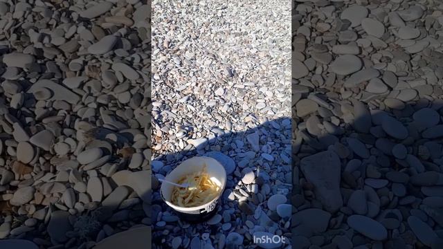 Утро в шепси начинается с зарядки смотреть онлайн