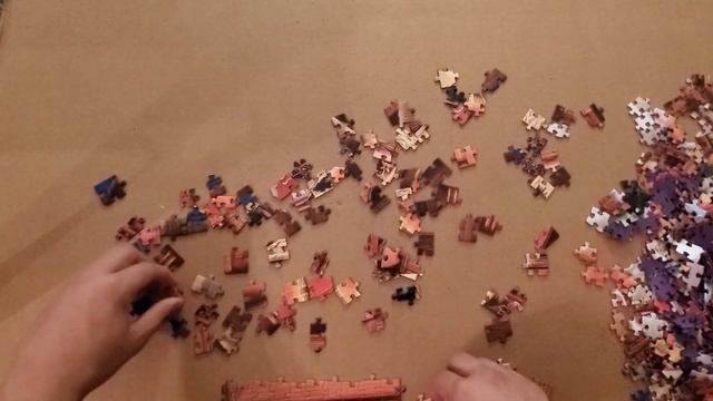 Kodak 1000 Piece Cats Jigsaw Puzzle | Satisfying | Day 1 смотреть онлайн