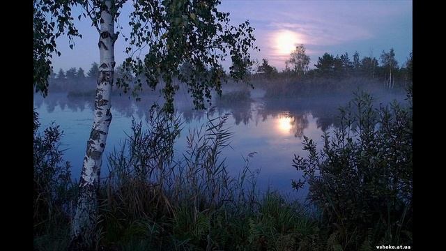В густой траве пропадёшь с головой смотреть онлайн