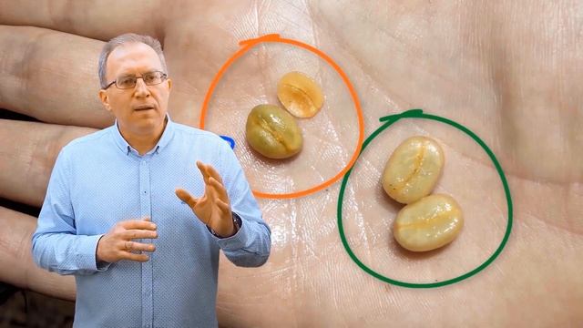 Что такое кофе "Пиберри"? Зерна кофе - Важен ли их РАЗМЕР? ● Килиманджаро и Кофе (Танзания) смотреть онлайн