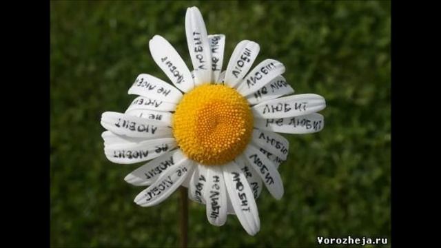 Ирина Аллегрова - 20 раз смотреть онлайн