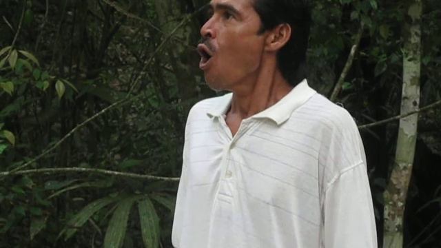 Abel the Howler Monkey Man - Tikal Mayan Ruins - Peten, Guatamela W.A.S.T.E.D Planet смотреть онлайн