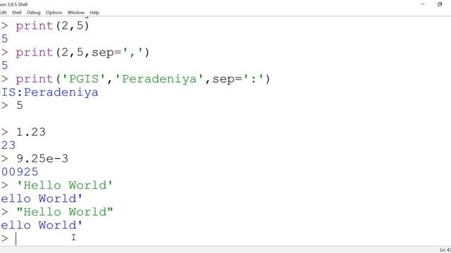 DS 5101 Computer Programming for DS and AI смотреть онлайн