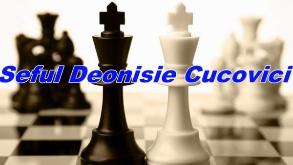 SEFUL DEONISIE CUCOVICI
