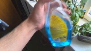 Обработка комнатных лимонов от вредителей ( щитовка, клещ, и т.д) ч.1