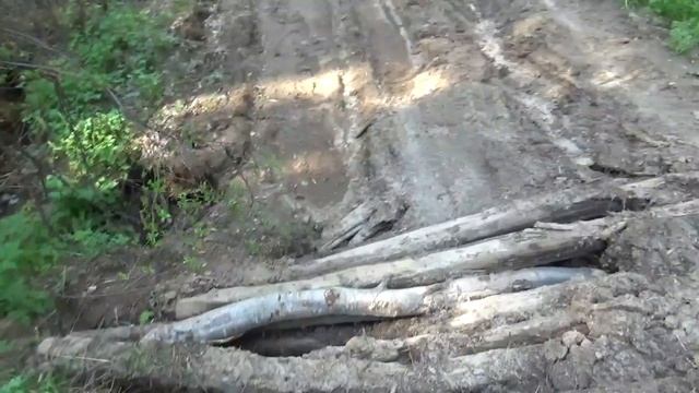 09.06.2019 \ ЭКСКУРСИЯ ПО РОДНОЙ ДЕРЕВНЕ \ Покча \ смотреть онлайн