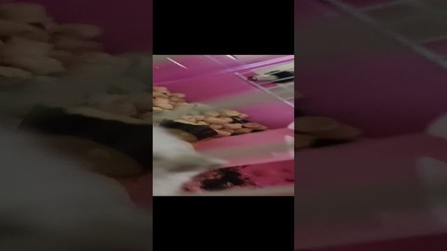 ☺?☺?☺?☺?☺?☺?☺☺??☺☺??☺ смотреть онлайн