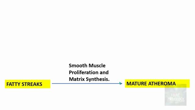 ATHEROSCLEROSIS : Part 2- Pathogenesis смотреть онлайн