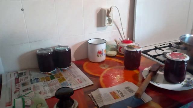 Мини Воскресный трёх дневный влог .)))) Заготовки на зиму : сливовая , кукуруза, томатный сок. смотреть онлайн