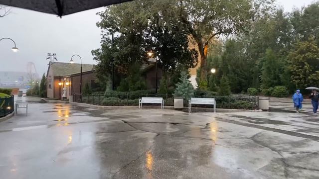 Live! Rainy SaturYay Night at Universal Orlando Resort смотреть онлайн