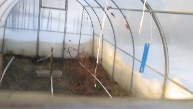 Стрижка лука / Всё тает/О рукоделии.Жить дешево и сердито