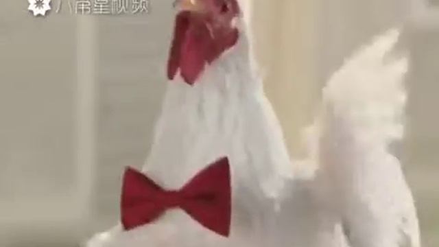 Поздравление на Новый год. смотреть онлайн