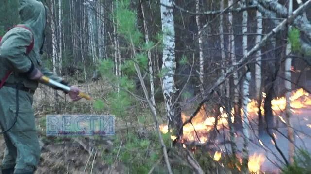 Лесной пожар. смотреть онлайн