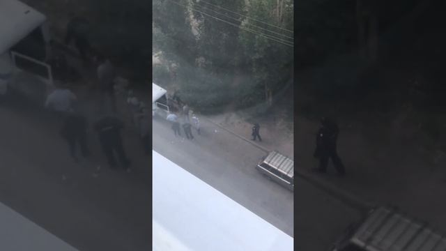 Камышин смотреть онлайн