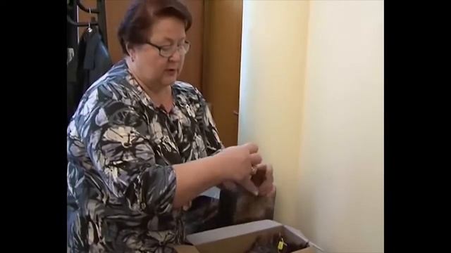 Когда люди начали носить парики | All About смотреть онлайн