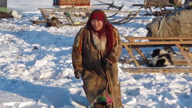 Жизнь и быт Ненцев