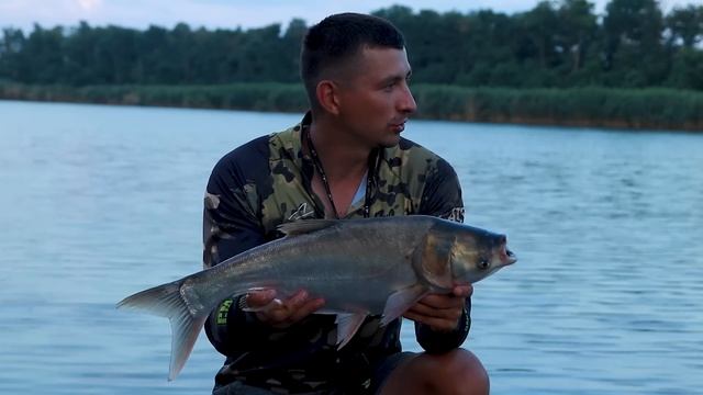 Самая простая и уловистая снасть на Толстолоба. Рыбалка 2022 смотреть онлайн