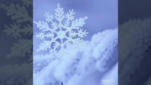 29 #Муладхара #Плоть.mp4