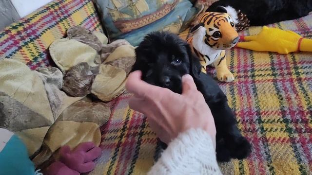 п-к Роман-Кош. Роман-Кош Херсонес Таврический. 35 дн. сын Цирцеи и АР Зигзаг Удачи смотреть онлайн