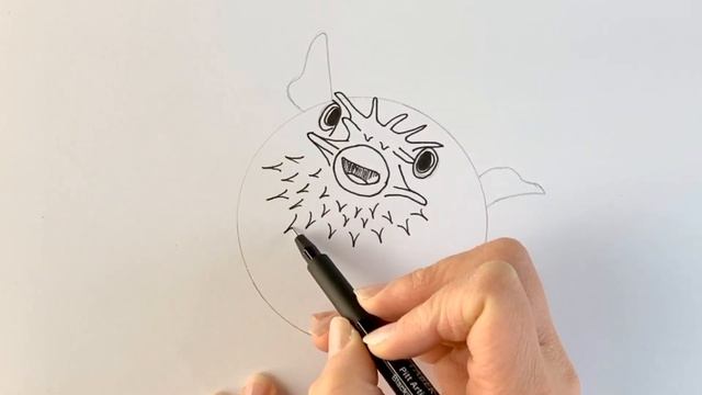 I drew a puffer fish from one circle смотреть онлайн