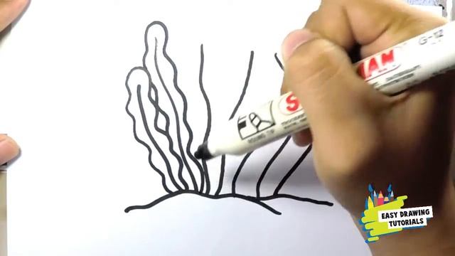 How to Draw Seaweed смотреть онлайн