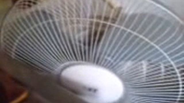 Комнатный вентилятор смотреть онлайн