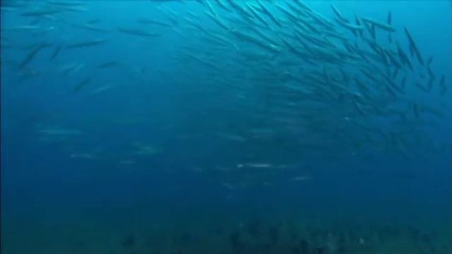 волшебная сила воды смотреть онлайн