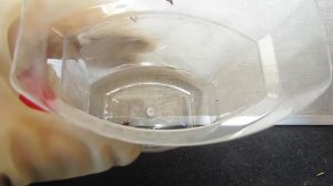 Какой сейчас продают дихлофос!