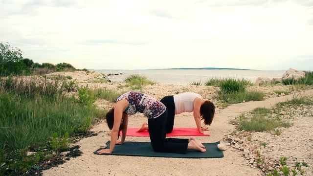 Točkica Pilates 25 - 3.7.20. - Osnovni yoga položaji (asane) - 2.dio смотреть онлайн