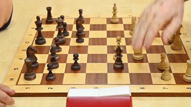 Живой блиц смотреть онлайн