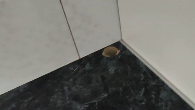 2 декабря 2023 года, монтаж труб готов