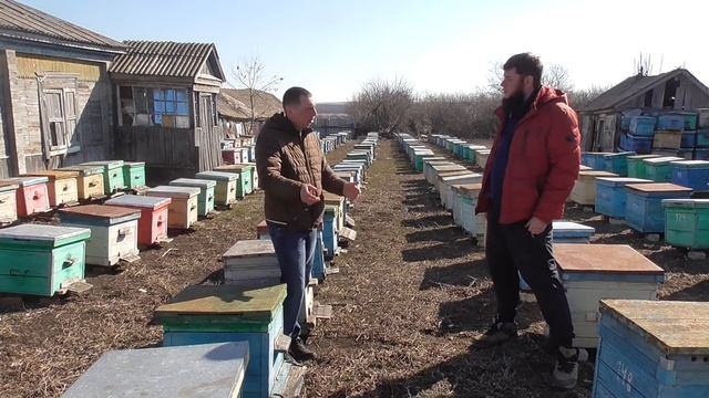 200 СЕМЕЙ / ПЧЕЛОВОДСТВО В УЛЬЯХ / ЛЕГКО И ПРОСТО. смотреть онлайн