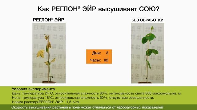Эксперимент по высушиванию сои и подсолнечника с помощью десиканта РЕГЛОН ЭЙР смотреть онлайн