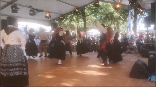 Фестиваль народных танцев в Цюрихе | с гордостью предоставляем Украину смотреть онлайн