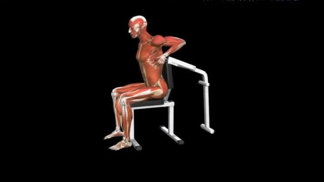 Обратное отжимание на рычажном тренажере Triceps Dip Reverse Lever смотреть онлайн