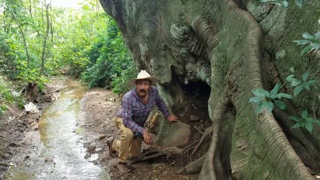 Fui sorprendido por una serpiente Lamas peligrosa ¡Miren como ataca esta serpiente смотреть онлайн